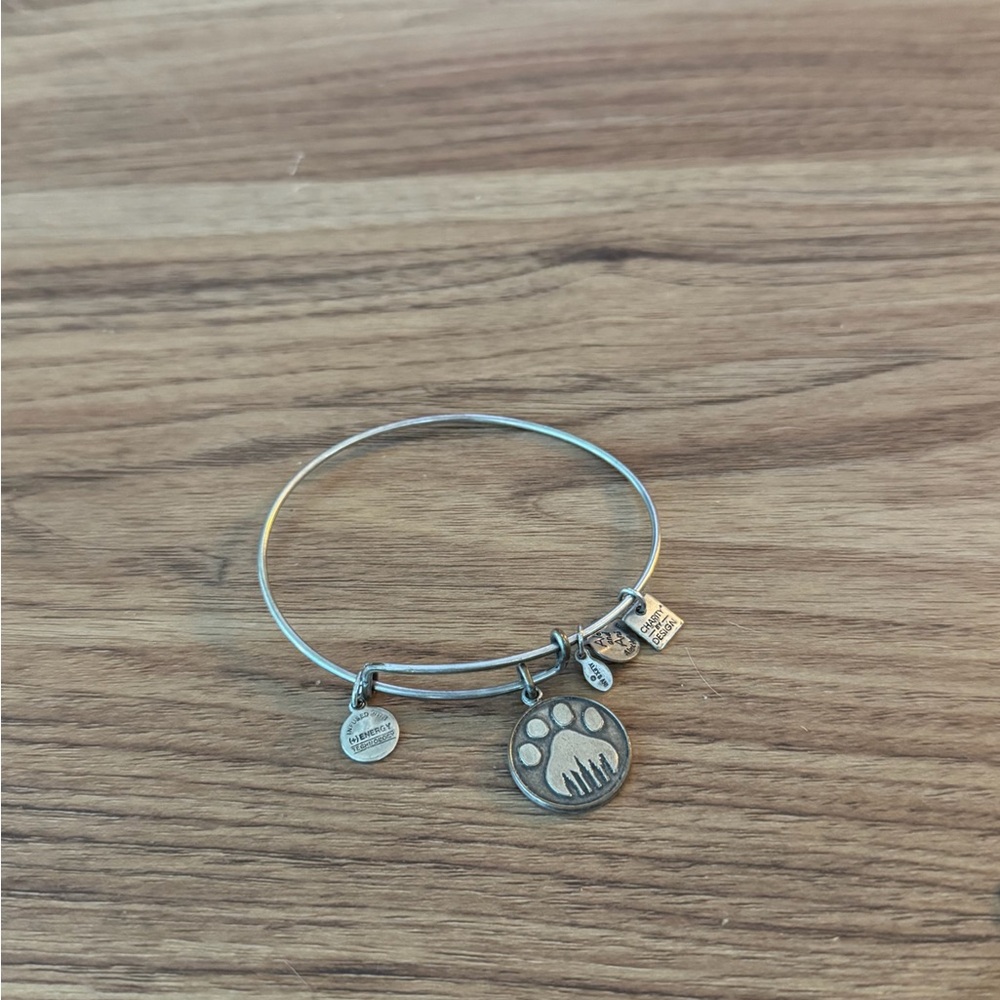Rare Vintage Alex and Ani Y2K Collectible Bangle Charm Bracelet Lot $165+ Value - Picture 4 of 6